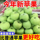 【現貨】山西青蘋(píng)果水果當季現摘應季酸甜孕婦水果露天水果不打蠟 1斤小果(60-65mm)
