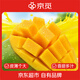京覓四川攀枝花凱特芒果 新鮮水果時(shí)令 4.5斤 精品大果600g+ 源頭直發(fā)