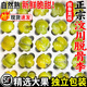 土地母親計劃 【順豐】正宗汶川青脆李四川脫骨李高山脫核 5斤特大果  單果35g以上