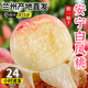 甘肅蘭州安寧白鳳桃白粉桃水蜜桃水果新鮮當季整箱子現摘桃子包郵 16顆 精選大果【禮盒裝】單果4-5兩