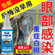 烏龜眼藥水白眼病藥專(zhuān)用眼睛腫睜不開(kāi)白眼小巴西龜用藥白眼清腫眼 龜鱉白眼清1瓶 特效藥