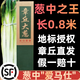 田良季正宗山東章丘大蔥【順豐速運(yùn)】高白脆甜新鮮水果蔬菜蔥特產(chǎn)送禮品 凈重5斤| 凈蔥0.8米丨很劃算 順豐禮盒裝【脆甜丨去皮去半葉】