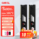 GEIL金邦 天箭 臺式機內存條DDR4 8G 16G 3200 3600 4000 MHZ 金屬馬甲散熱片電競游戲電腦內存條 海力士CJR顆粒32G(16GX2)套條 3600
