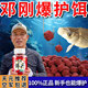 鮮丹蚯蚓紅蟲(chóng)顆粒餌料鄧剛釣魚(yú)專(zhuān)用全能野釣通殺鯉魚(yú)鯽魚(yú)腥香 5瓶紅腥香買(mǎi)3送2