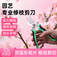 園藝剪刀修枝剪剪樹枝果樹剪枝剪刀樹枝專用剪刀省力修剪植被神器 京自倉發(fā)貨不銹鋼樹枝修枝剪1支 東營綠植修剪剪刀家用神器