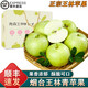 南步正宗王林蘋果【順豐速發(fā)】煙臺(tái)雀斑青蜜青森綠蘋果平果新鮮水果 5斤 精品果王95mm+【土豪專享】