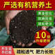 營養(yǎng)土通用種花花土養(yǎng)花批發(fā)種菜盆栽綠蘿月季土蘭花土多肉泥炭土 50升-好土真的輕