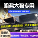 道道拍適用于26款24款 22款哈弗大狗行車記錄儀免走線專用哈佛23款二代 4K超高清【單錄】2160P+64G卡 2024款 大狗 邊牧版/中華田園犬/拉布拉多