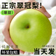 正宗四川廣元蒼溪青皮翠冠梨子10斤非皇冠蘋果梨甜應(yīng)季新鮮水果ZZ 9斤