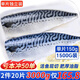 海皇灣青花魚片進(jìn)口深海鯖魚鮐鲅魚新鮮冷凍生鮮魚類海鮮燒烤食材 【3斤單片獨(dú)立裝】150g/片*10片
