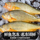 鮮太公【清蒸首選】野生大黃魚 鎖鮮速凍 酒店同款宴席高端食材順豐冷鏈 大黃魚（無冰）【400-500克/條】5條