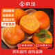 京覓山西巧克力脆柿子當(dāng)季水果凈重4.5斤單果100g+新鮮水果源頭直發(fā)