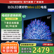 創(chuàng)維（Skyworth）55A5D Pro升級款 55英寸 智能液晶平板電視機(jī) Mini LED 以舊換新一級能效A5F Pro 55英寸