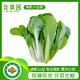 北菜園有機(jī)小白菜250g火鍋食材有機(jī)新鮮蔬菜  【兩個(gè)品種隨機(jī)發(fā)送】生鮮