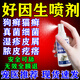 丹岐好因生噴劑狗狗皮膚病真菌感染狗癬潰爛皮炎螨蟲(chóng)好因生噴霧 1盒裝【皮膚病專(zhuān)用噴劑】 無(wú)效全額退款【當天發(fā)貨】