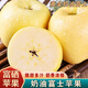 桃西村山東奶油富士蘋(píng)果 富硒黃胖子蘋(píng)果黃焦棲霞糖心元帥新鮮水果禮盒 8.5斤精選果王【95-100mm】