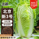 北蔬 北京新三號白菜種子種苗秋季種蔬菜種籽 北京新三號種子10g