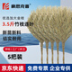 豪思克普 戶(hù)外大掃把3.5斤【5把】 竹枝連枝環(huán)衛物業(yè)掃把高密度加大臺風(fēng)學(xué)校工廠(chǎng)車(chē)間地面清潔掃帚
