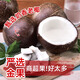 優(yōu)味集椰子【JD順豐速發(fā)】奶香黑椰皇孕婦水果燉湯汁老椰子補羊水 1粒裝(小試嘗鮮裝) 商超A+級大果800g+