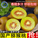 流芷國產(chǎn)獼猴桃 新鮮水果生鮮 6枚實惠裝