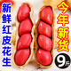 2025年新鮮紅皮花生農(nóng)家自種曬干生花生帶殼花生米仁炒貨原味種子 【曬干帶殼】紅皮花生1斤