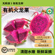 有機(jī)火龍果水果紅心樹(shù)上掛熟新鮮蔬菜當(dāng)季孕婦寶寶食用生吃 有機(jī)火龍果  大小混裝 5-11個(gè)