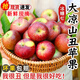 大涼山丑蘋果當(dāng)季新鮮孕婦水果四川鹽源紅富士冰糖心蘋果整箱送禮 8斤 【中果】70-75mm