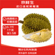 京鮮生 進(jìn)口金枕頭榴蓮 凈重6-7斤 1個(gè)裝  鮮果 生鮮 新鮮水果