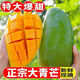 京碩果海南大青芒現(xiàn)摘甜心芒青皮金煌芒當(dāng)季大芒果新鮮水果 3斤【特級果】