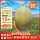 【新疆直發(fā)】正宗新疆哈密瓜 現(xiàn)摘網(wǎng)紋瓜西州蜜25號(hào)至愛整箱裝 9-10斤2-3枚【順豐包郵】