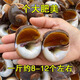 亞又婧貓眼螺海鮮水產(chǎn)沙螺白玉螺海螺鮮活速凍大香螺特大新鮮野生貓眼螺 超大號(hào) 1500g (約8-12個(gè)/斤）