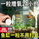 何健弓魚(yú)缸增氧片水產(chǎn)養殖粒粒氧制氧增氧顆粒釣魚(yú)魚(yú)塘魚(yú)池缺氧充氧顆粒 【長(cháng)效增氧】3瓶300粒裝