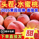 突圍水蜜桃【順豐-多地次日達】新鮮脆甜桃子水果整箱毛桃水蜜桃L 5斤中果【13-15個(gè)】順豐快遞