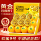 顏曼箐黃金百香果 欽蜜9號純甜黃金白香果九號新鮮孕婦水果禮盒裝 5斤劃算裝 9A級鉆石果丨單果70-80g