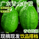 田果匠廣東香水檸檬新鮮正宗青檸檬無(wú)籽大果一級(jí)果鮮檸檬水果奶茶店專用 1斤 1斤約4-6個(gè)