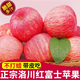 陜西洛川蘋(píng)果水果新鮮當季整箱紅富士冰糖心一級脆甜 洛川紅富士【大果4.5斤】