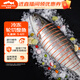龍羊峽冷凍國產(chǎn)青海三文魚(yú)整條輪切禮盒5-6斤高原虹鱒生鮮魚(yú)類(lèi)源頭直發(fā)