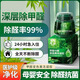 希望樹(shù)除甲醛小綠罐希望竹果凍凝膠二代丹楓韻升級除甲醛神器新房急入住 希望竹8罐+5檢測盒-100㎡治理