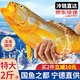 云儲(chǔ)生活福建寧德深海冰鮮冷凍新鮮大黃花魚 凈重2斤*1條烤魚海鮮魚類生鮮