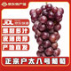 陜美農人正宗陜西特產(chǎn)八號葡萄現摘現發(fā)果園滬太8陜西新鮮水果當即葡萄 五斤大果（單顆粒8-12克） 京東物流-送貨上門(mén)