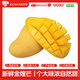 閩域?qū)r金煌芒熱帶時(shí)令芒果云南應(yīng)季新鮮水果過節(jié)送禮新鮮青皮芒甜心芒果 凈重2.5斤丨單果150-300g丨自吃嘗鮮  【京牌服務(wù)】