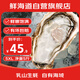 鮮海道 鮮活乳山生蠔5XL 凈重5斤 8-12只 生鮮海鮮貝類 源頭直發(fā)