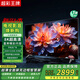 超彩王牌【電視機排行前十名】無邊框8K液晶全面屏超高清藍(lán)光WiFi遙控語音手機投屏客廳家用護眼智能網(wǎng)絡(luò) 100英寸 無邊框語音款免費安裝