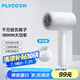 飛科 FLYCO 電吹風機宿舍用 柔風負離子恒溫護發(fā) 家用冷熱大風量快速干發(fā)吹風筒FH6290 1800W