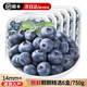 秋千果歌[SF送貨上門(mén)]藍莓果 當季新鮮水果禮盒 順豐快遞 產(chǎn)地直發(fā) 125g*6盒14mm+[凈重750g]