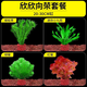 勝畫(huà)魚(yú)缸水草植物直接入缸真水草凈化竹節(jié)草蜈蚣草懶人養(yǎng)魚(yú)水草造景 【入缸成景套餐A】適合20-30CM缸