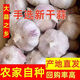 杞縣新鮮紫白皮干大蒜九斤可腌臘八蒜非獨頭蒜蒜米多瓣蒜 整箱產(chǎn)地直發(fā)5斤 【個頭不太大】4-4.5cm 中果