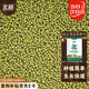 北蔬 綠豆種子芽苗菜豆子種水培土盆栽蔬菜種籽 綠豆芽苗菜種子500g