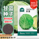 北蔬 甘藍(lán)種子苗卷心菜包菜圓白菜大頭菜秋季蔬菜種籽 甘藍(lán)種子500粒
