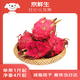 京鮮生 紅心火龍果巨無霸4粒裝 單果500g 凈重4斤 生鮮水果